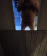  op zoek naar een sexdate  