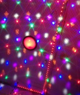  Stevig wapstel zoekt bi man 